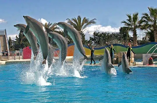 Marineland