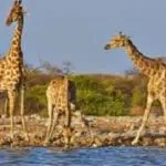 Voyage Kenya,séjour Tanzanie
