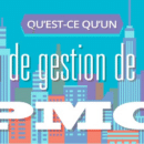 Infographie : Bases de la gestion de projets: Qu’est-ce qu’un PMO?