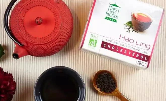 Le thé Hao Ling® réduit le taux de triglycérides