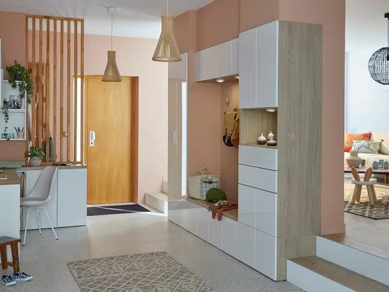 Petit hall d'entrée design idées tendance pour une entrée moderne