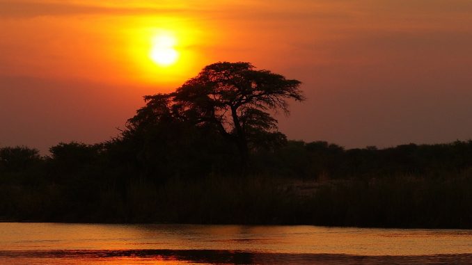 africa-290434_1280