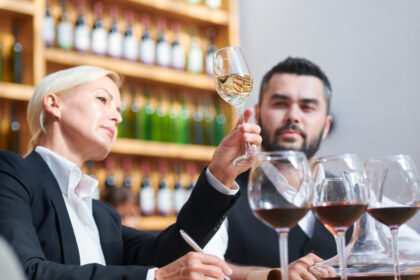 Développez vos compétences en vins spiritueux avec une formation adaptée