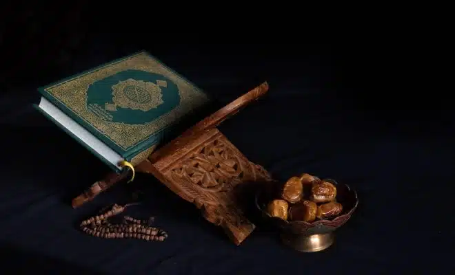 blue book beside brown wooden stick