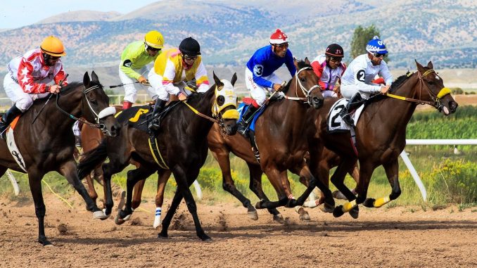 chevaux