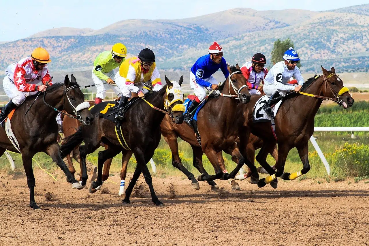 chevaux