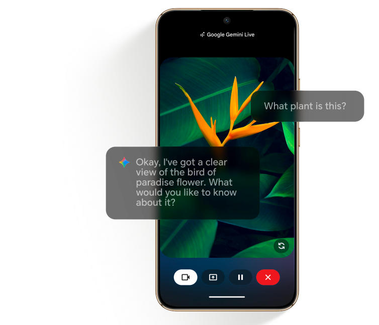 smartphone-magic-8-lite-honor