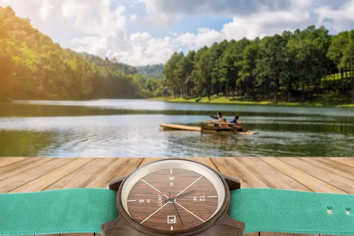 montres bois