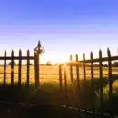 the sun is setting behind a fence in a field