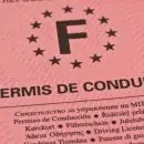 permis de conduire - Droit routier