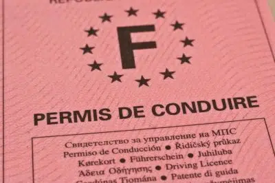 permis de conduire - Droit routier