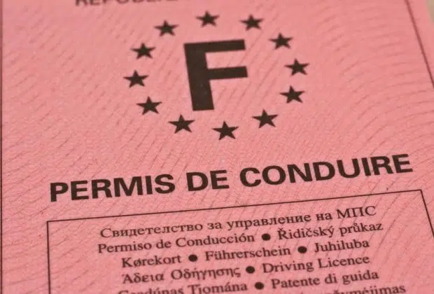 permis de conduire - Droit routier