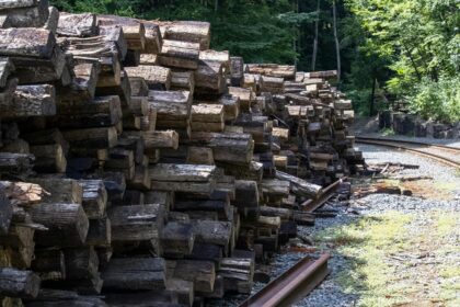 réserve de bois pour l'hiver