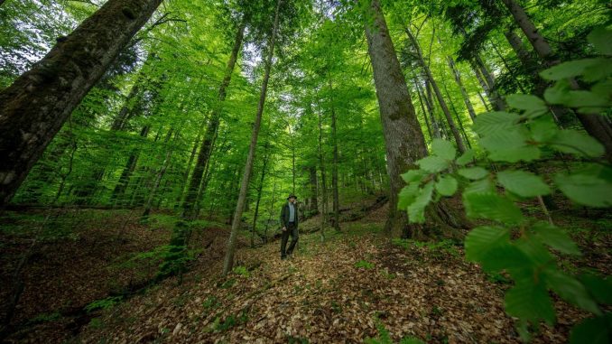 protection nature