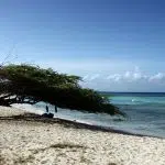 Que faire et que voir en Guadeloupe ?