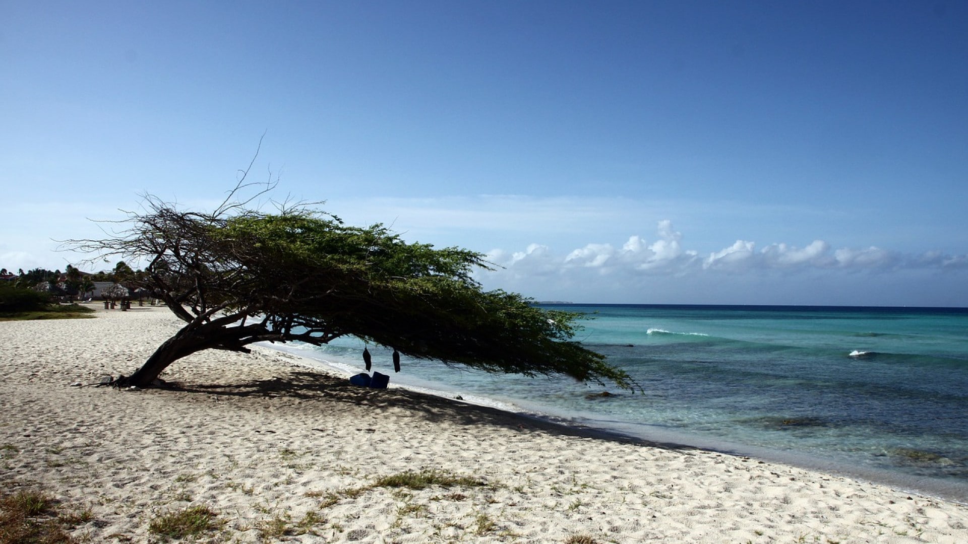 Que faire et que voir en Guadeloupe ?