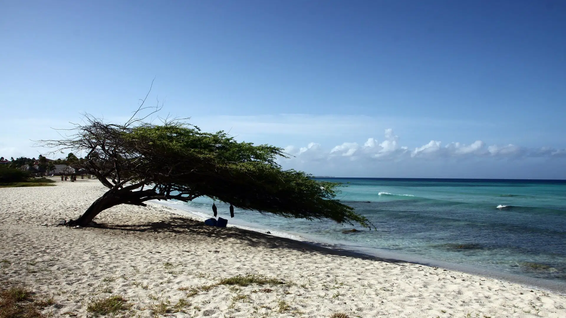 Que faire et que voir en Guadeloupe ?