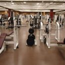 salle-musculation