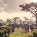 trek masai