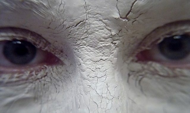 white-318525_640